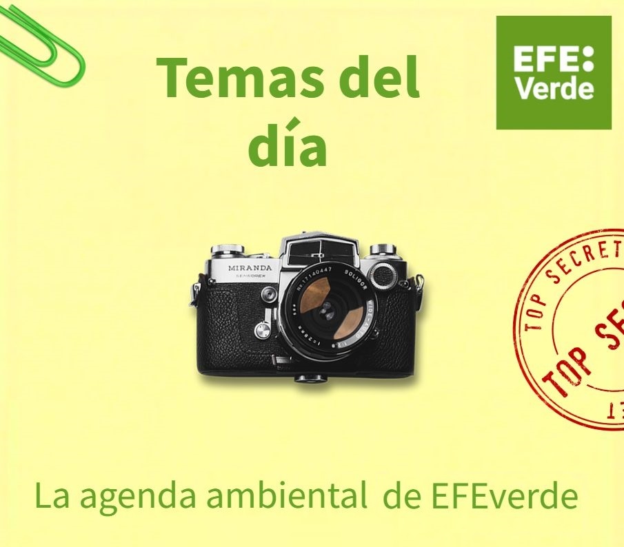 Hoy será noticia ambiental...     #AgendaAmbiental de EFEverde / 14 de mayo efeverde.com/hoy-sera-notic…