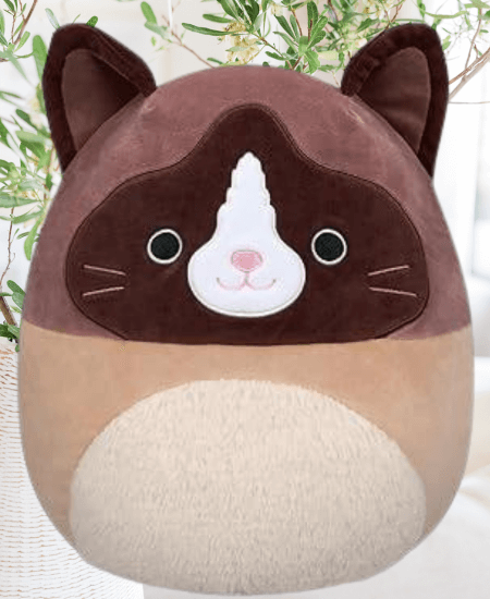 Read my new article!
Woodward the Squishmallow Snowshoe Cat Plush: Must-Have!

Discover why Woodward the Squishmallow Snowshoe Cat is the plush everyone is raving about! And learn about the origins of this super sweet breed!

bit.ly/3wzgwjN