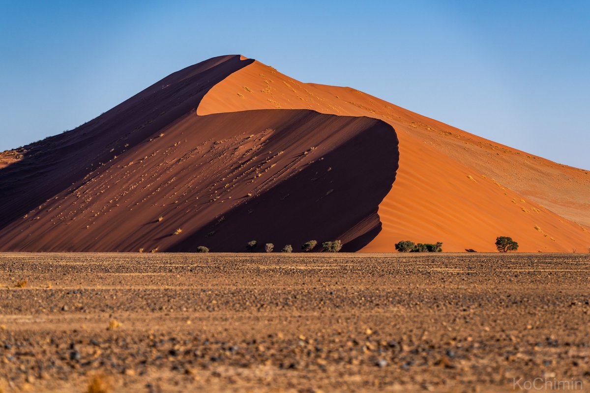 “The Red Dune”

#NamibDesert
#ナミブ砂漠
#しばらくナミビア続きます

#Namibia #Africa #Nature #View #AfricaTourism #Africa_tourism #Traveling #TravelPhotography

#ナミビア #アフリカ #ナミビア旅行 #アフリカ旅行 #自然 #絶景