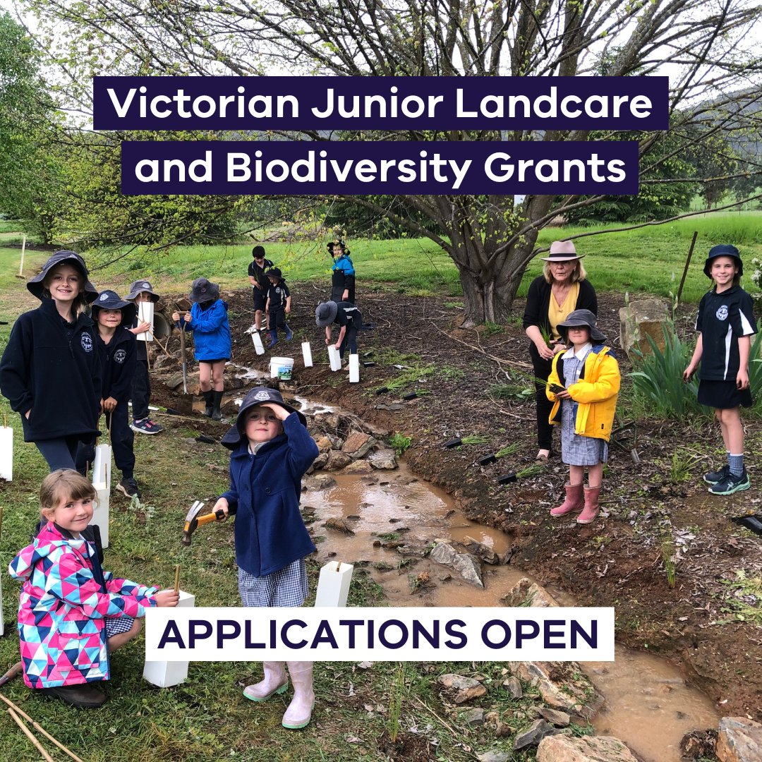 The Victorian Junior Landcare and Biodiversity Grants are now open 🐾🌿 We’re teaming up with @LandcareAust again this year to offer the 2024 Victorian Junior Landcare and Biodiversity Grants program! Grants up to $5,000 are available for projects that involve and educate young