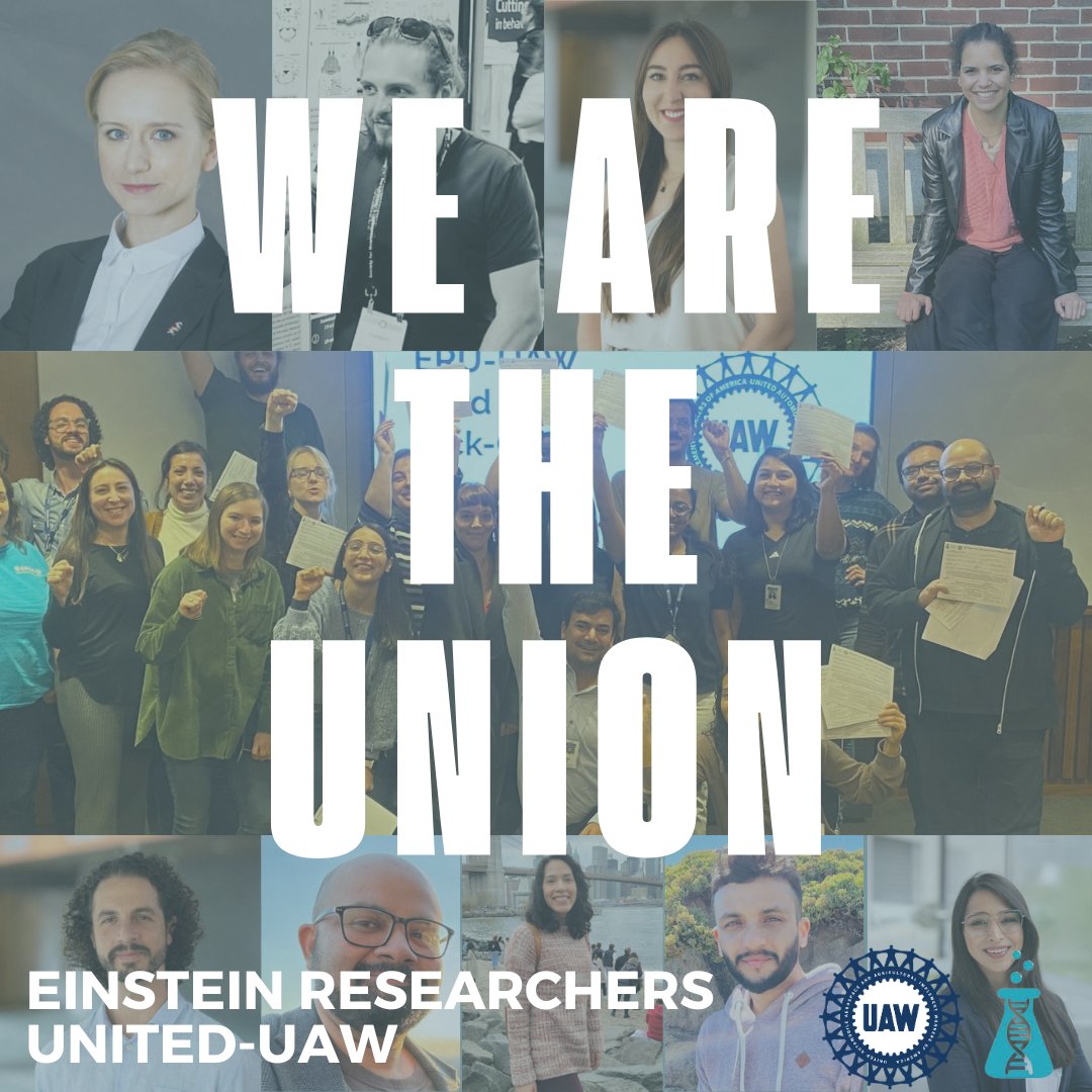 Our union is by, of, and for Albert Einstein College of Medicine Postdocs.