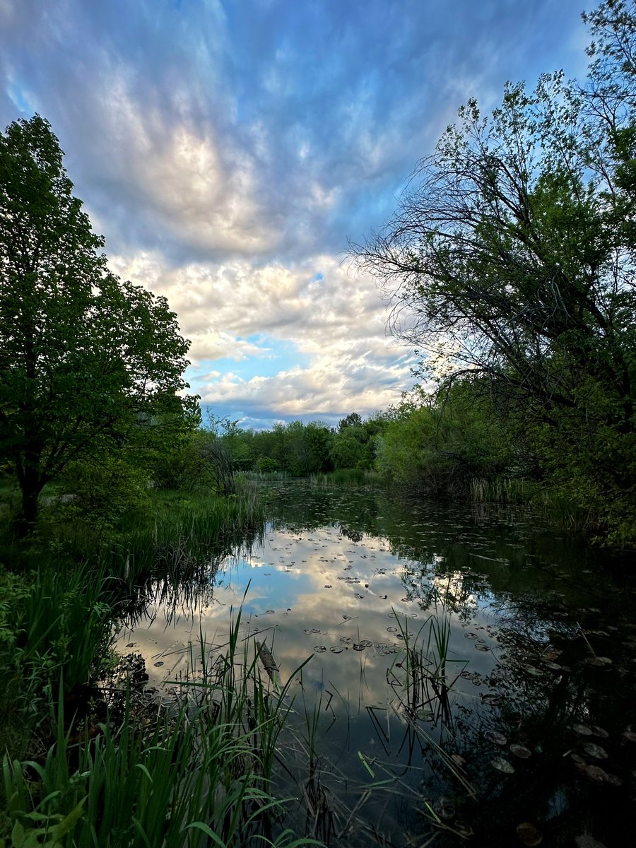 Sky and marsh; Boise, Idaho.