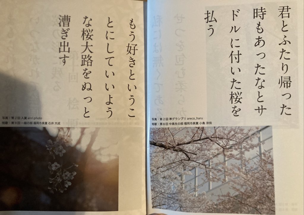 第十回「桧原桜賞」の作品集を頂きました。過去の受賞者として石井大成さんの横にいます。