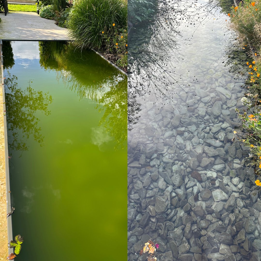 InfoSirona's tweet image. A client was struggling to maintain their impressive #Pond. A very slow flow meant #algae blooms were common without strong chemicals. We reduced chemical input by 50%, saved the client money and maintenance time!

#ActivatedWater #WaterQuality #PondLife #HealthyWater