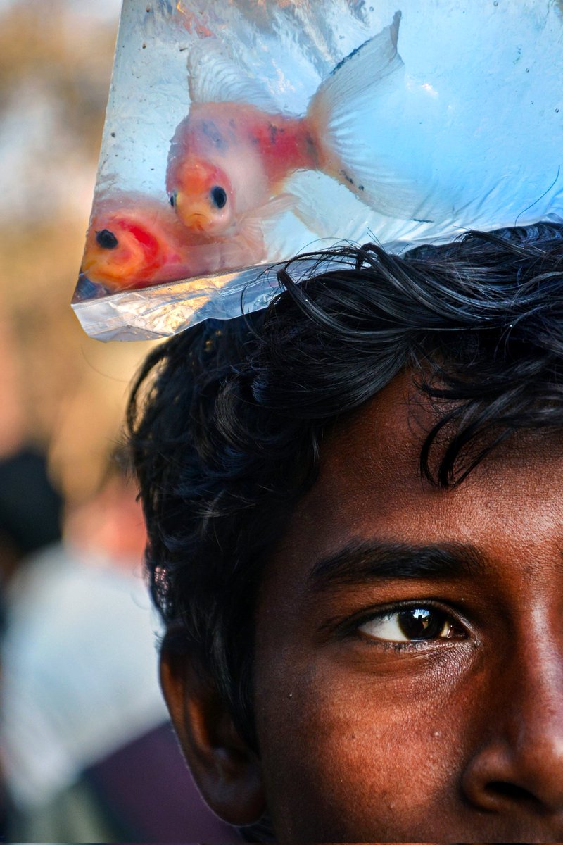 Gm friends 🔆 
Happy #tezostuesday.

THE BOY AND THE COLORED FISH.

13/45 available.

Only 2 $xtz.

Link 👇