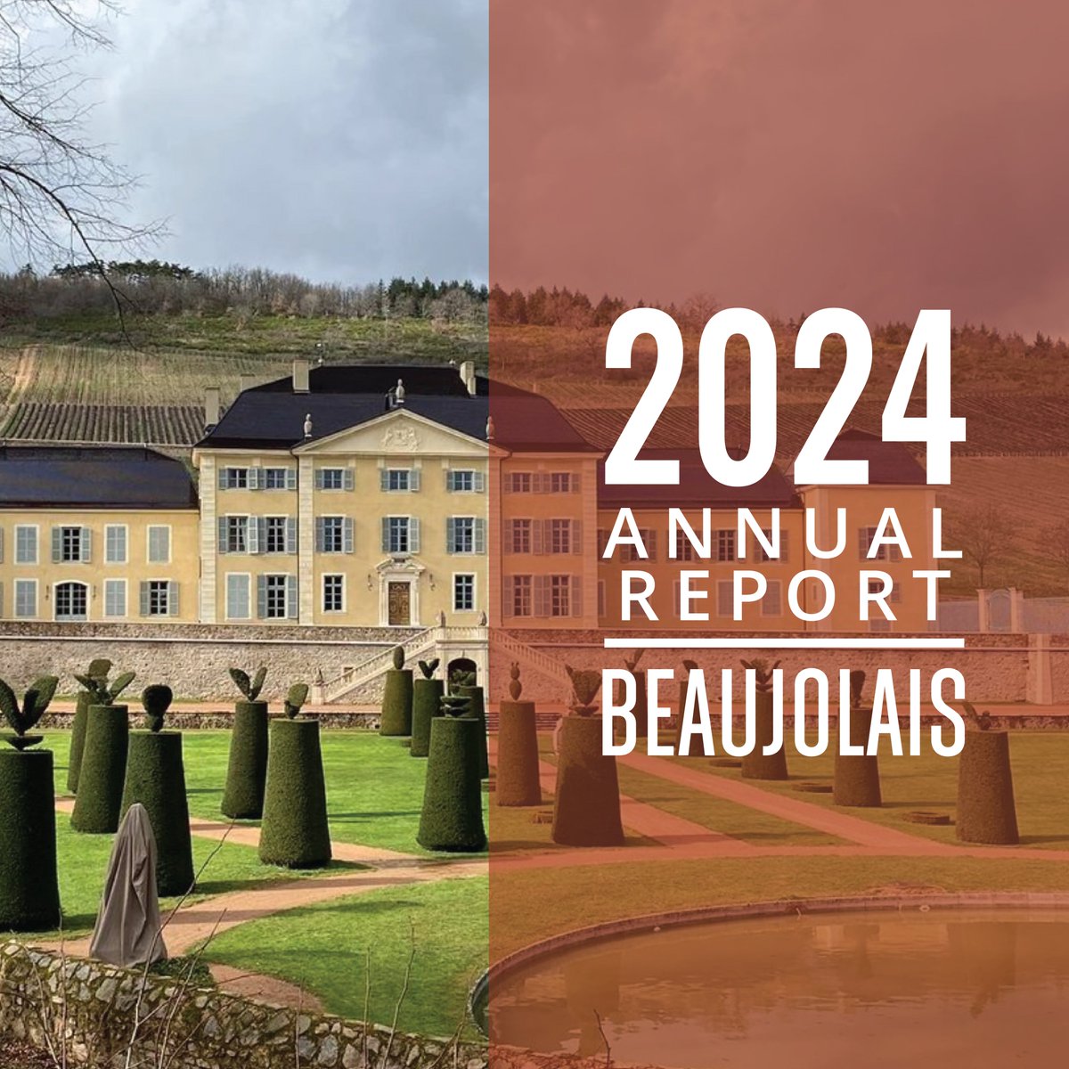 Our new #Beaujolais Annual Report discusses how #climatechange is affecting Beaujolais. The 2022s reflect the hot growing season, but don't be disappointed because #gamay seems to have a big advantage in the warming climate. Reading the full story here: jamessuckling.com/wine-tasting-r…