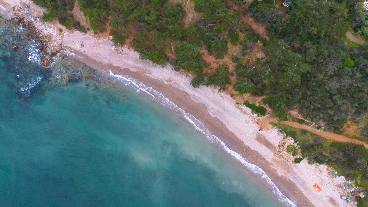 acikradyo's tweet photo. Deniz, göl ve akarsu kıyıları, tüm canlı ve cansız varlıkların ortak yaşam alan kıyı ekosistemlerini ve insanların kıyılara serbestçe erişimini savunmak için kurulan #KIYIDA hareketi bugün 14:00'te radyonuzda!

@DunyaMirasiAda'da, kaçırmayın!

📷: Sera Tolgay https://t.co/QrigxxbXub