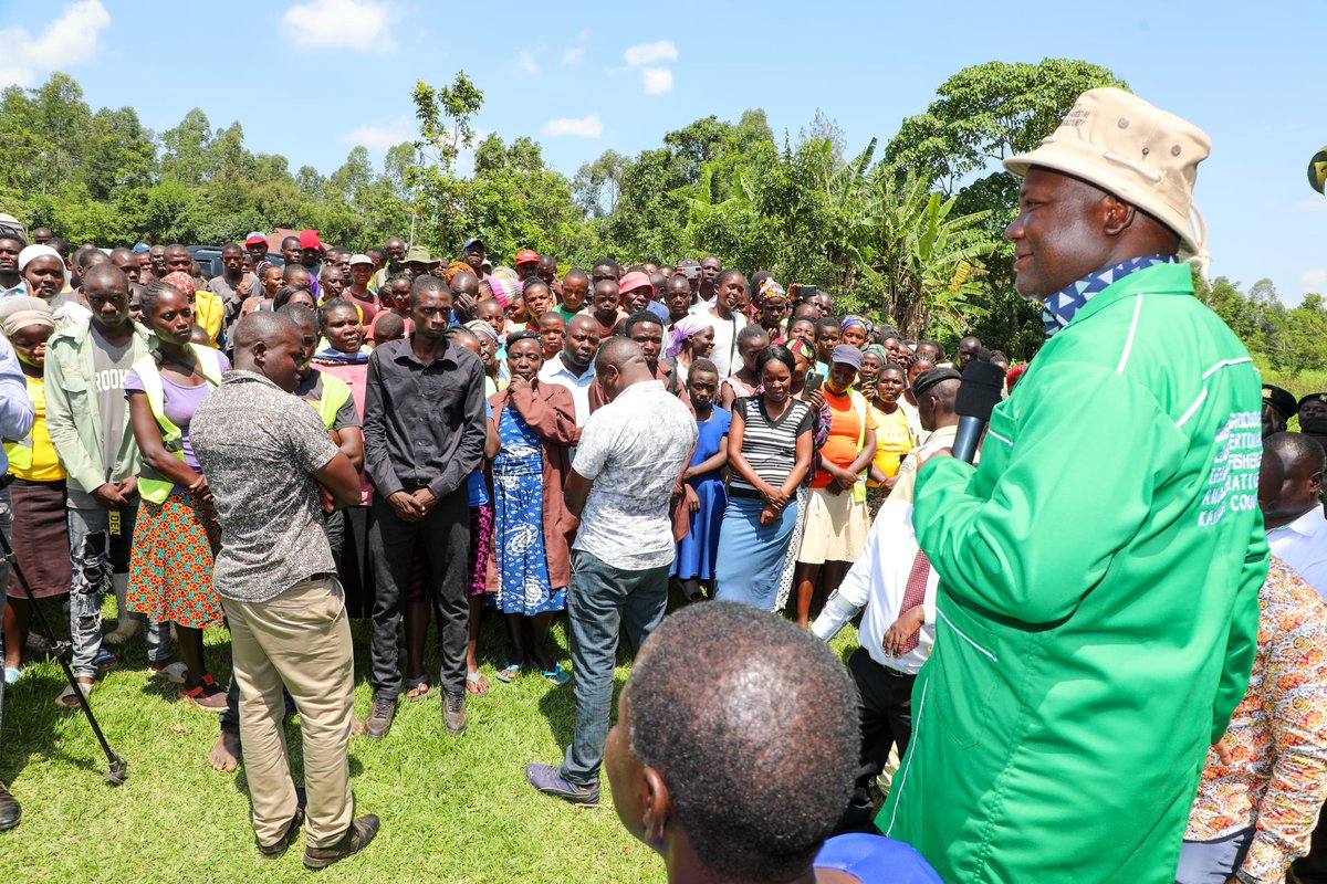 The County farm subsidy program is the key to safeguarding Kakamega's Food Security. 📍 𝐁𝐮𝐜𝐡𝐢𝐟𝐢, 𝐄𝐭𝐞𝐧𝐣𝐞 𝐖𝐚𝐫𝐝, 𝐌𝐮𝐦𝐢𝐚𝐬 𝐖𝐞𝐬𝐭 𝐒𝐮𝐛-𝐂𝐨𝐮𝐧𝐭𝐲.