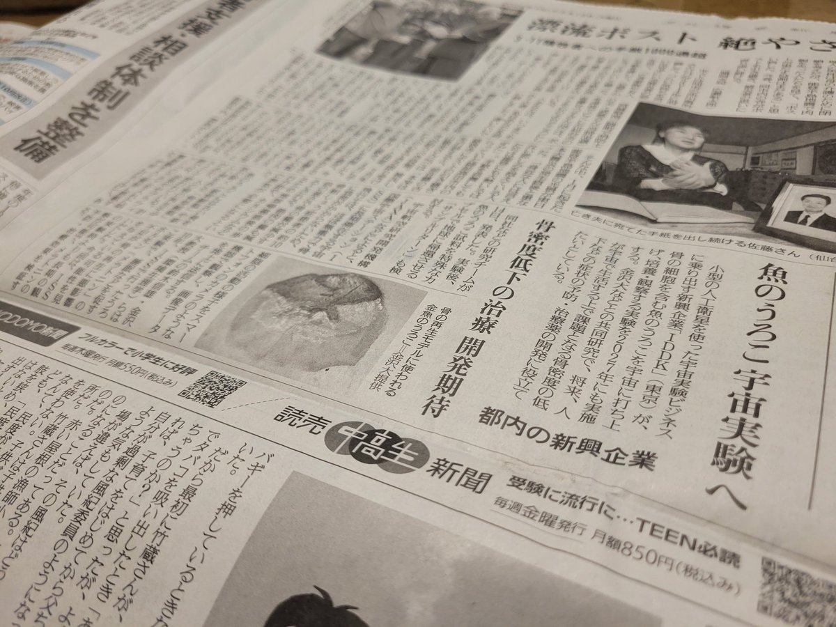 本日の金沢大学を主とした共同研究課題の採択のプレスリリース、読売新聞の夕刊で取り上げていただきました♪
感謝。。。m(_ _)m
@IDDK_PR 
 #IDDK #読売新聞
