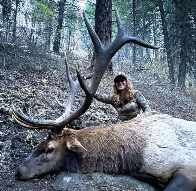 Tana Grenda is clearly very happy with herself... 'Birthday bull! And my best bull yet. Grateful is an understatement. I can’t put into words how fun and challenging and cool this hunt was. Once we got up to him, I was excited to see how unique he was with some extras!'…