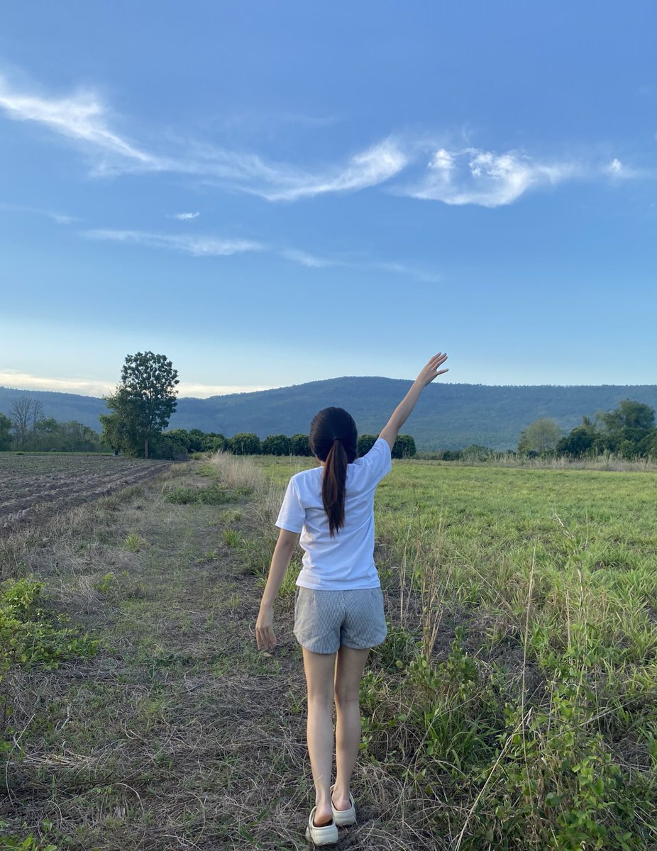 Dinosoro🦕✨ tweet media