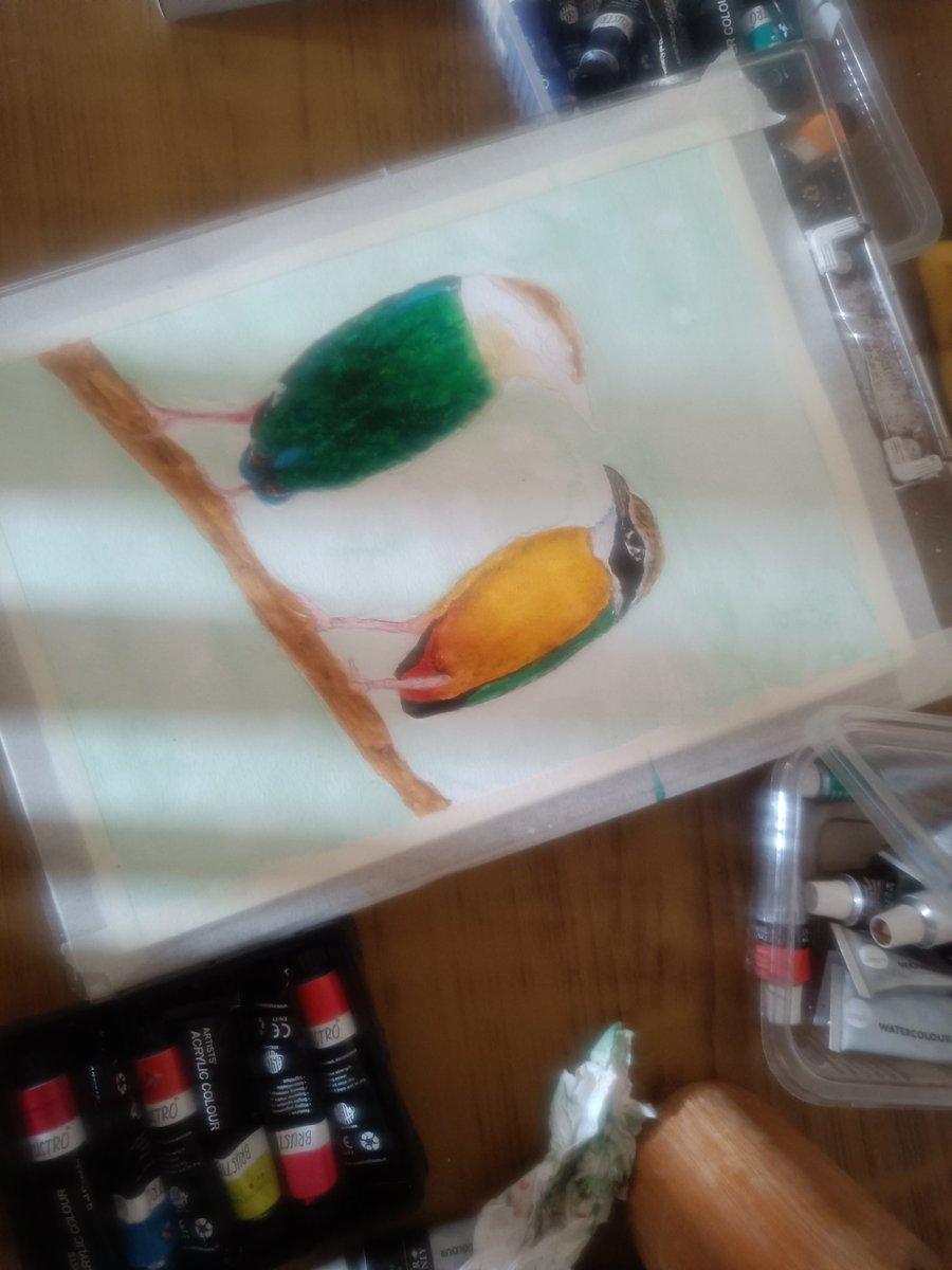 #workinprogress after a long time I'm doing a larger bird study. @sunillnaik your photograph as reference. #BirdsOfTwitter #inspiredart #BirdTwitter #ArtbyTee