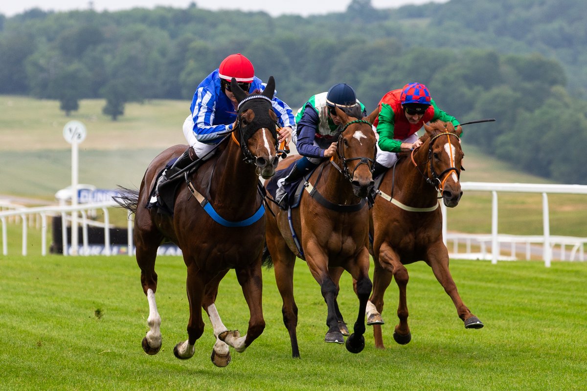 The flat is back at Chepstow this evening! 🚪Gates: 15:40 ✅First Race: 17:40 🏁Last Race: 20:40 🌱Going: SOFT 🎟️ - brnw.ch/21wJKMx 📗 - brnw.ch/21wJKMw