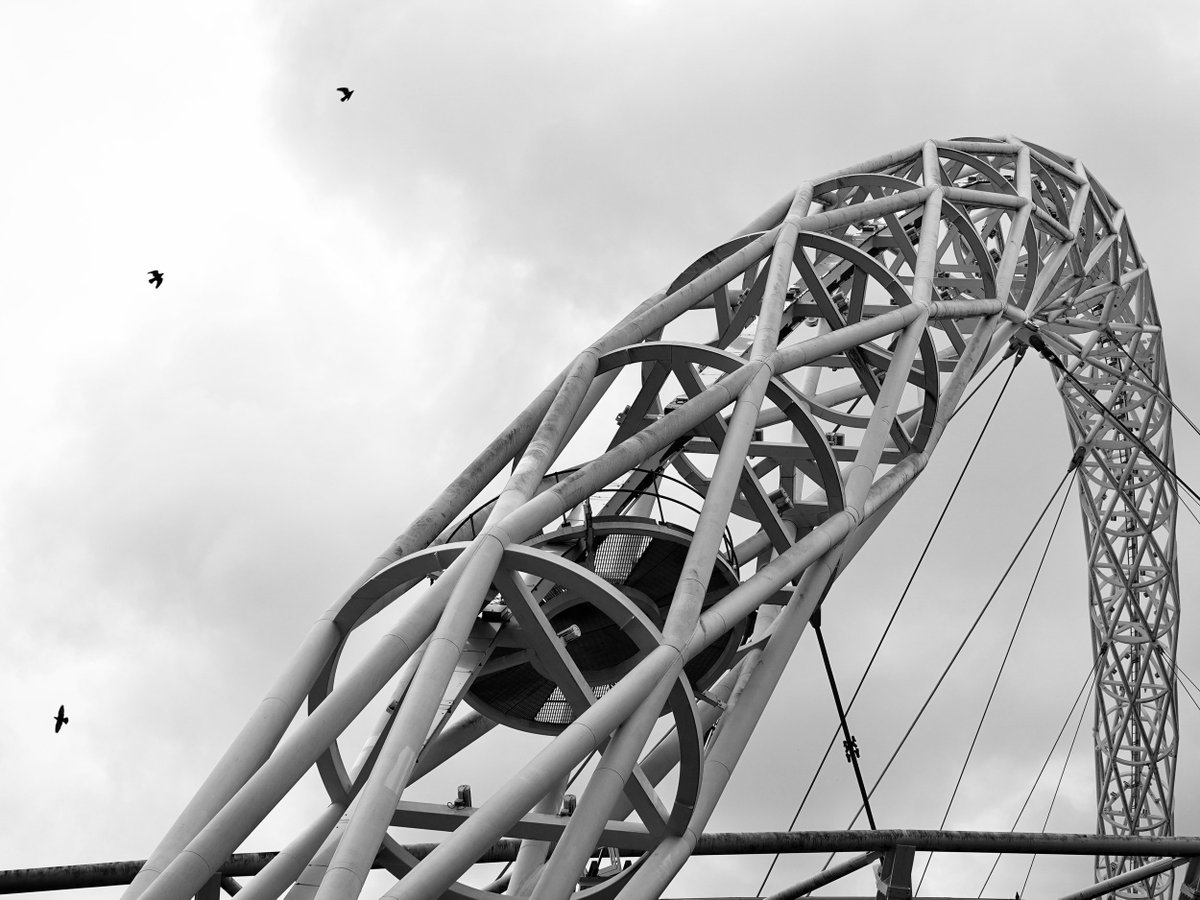 Three little birds over the Wembley arch. by @tmstanworth Post your football photos featuring our feathered friends here. 🧵🐦‍⬛