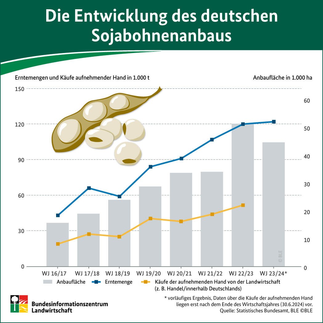 Der Anbau von #Sojabohnen in Deutschland 🇩🇪 erlebte zuletzt einen rasanten Aufstieg. Vom WS 16/17 zum WS 23/24 hat sich die Anbaufläche und Erntemenge fast verdreifacht (je +184%). Eine ausführliche Analyse finden sie im 3. Marktbericht #Hülsenfrüchte
➡ fcld.ly/5mc6m9u