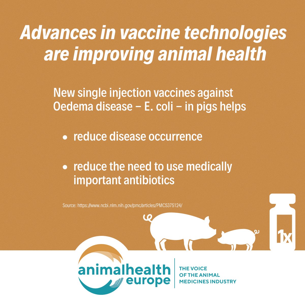 A new type of vaccine against E-coli in pigs helps reduce the need to use #antibiotics 💉🐖  

Innovations in #AnimalHealth are important to help us address today's challenges ✅