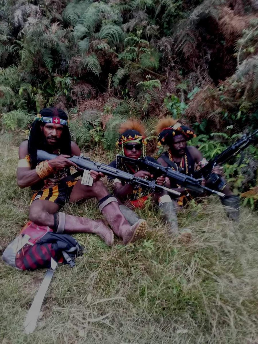 #Indonesia 🇮🇩: A new photo posted by the fighters of #WestPapua National Liberation Army (#TPNPB-OPM). Fighters can be seen with two captured 5.56x45mm #NATO Pindad SS1-V1 assault rifles and a 7.62x51mm Pindad SP-2 (BM59 Mk I) rifle.