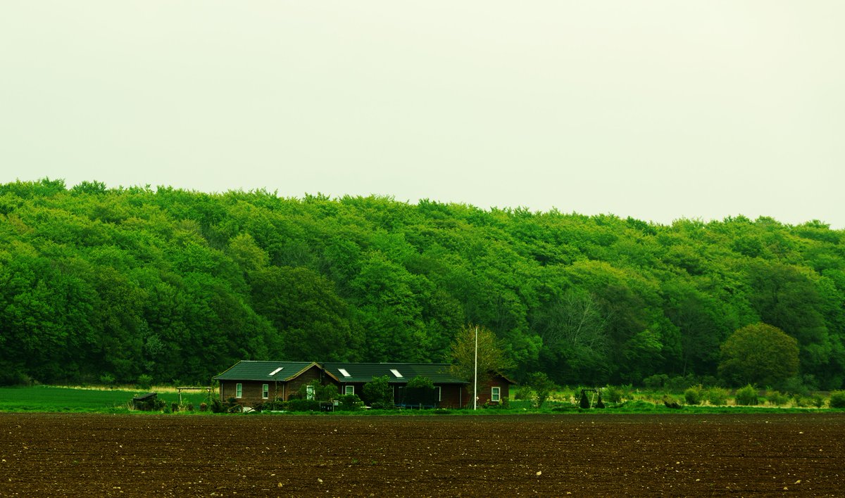 Just another pretty house. #udkantsdroemmer #denmark #danmark #lolland #nature #NaturePhotography #NatureBeauty #natur #countryfile #udkantsdanmark #field #greyday