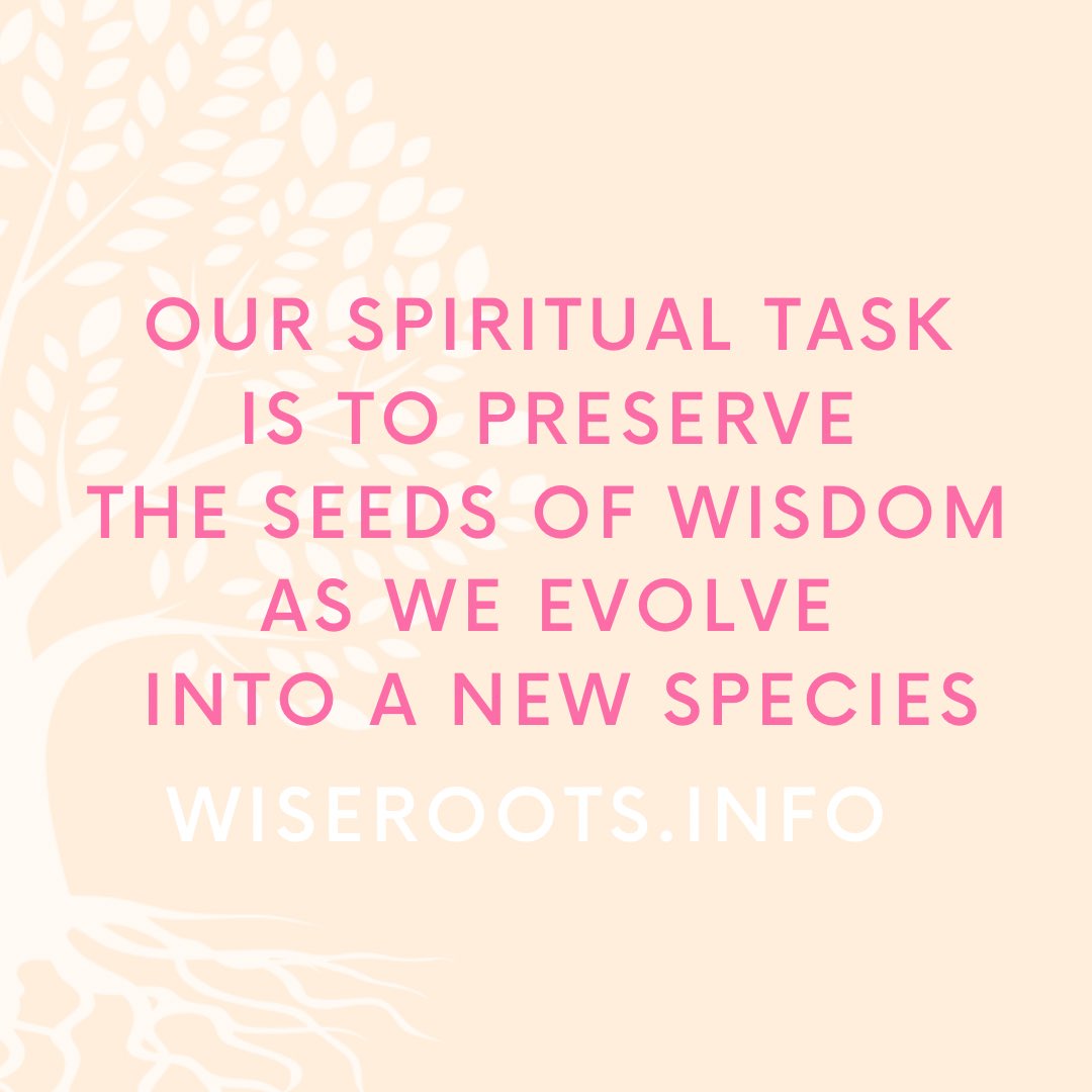 🌿 connection to roots in nature,
🌳 return to nature 
🥘 look into true origins of food

#wisdom #ancestralhealing #ancestralliving #ancestralwisdom #ancestraldiet #ancestralmedicine #ancestralskills #ancestralknowledge #paleo #paleodiet #practicalspirituality #earthwisdom
