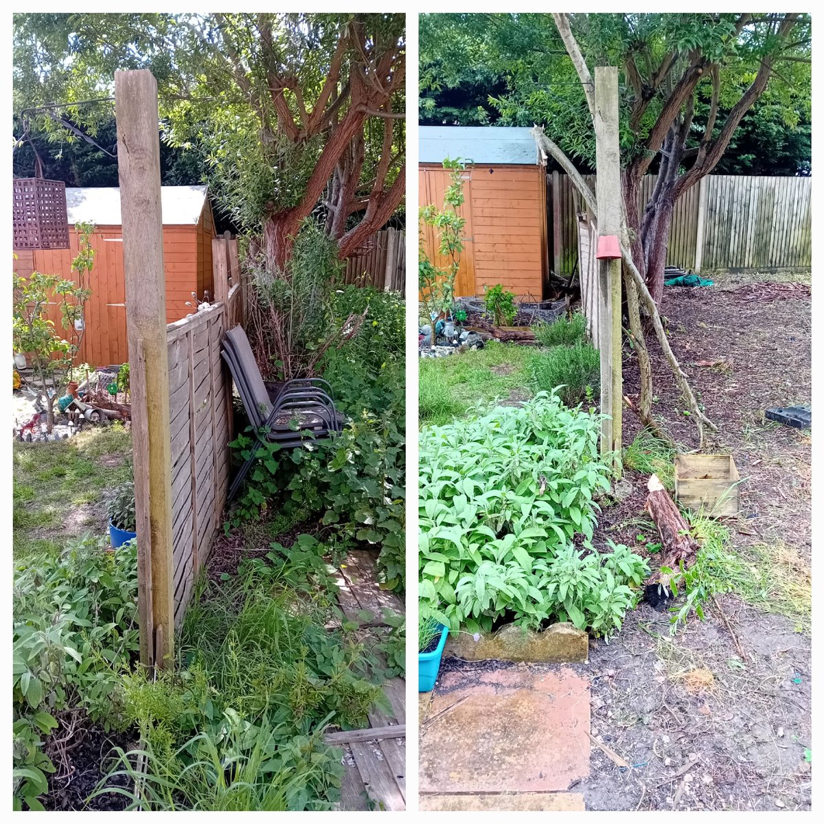 Good deed done. Helped our neighbour clear her garden. Took a whole day. Was nice to chat with her and today our new fence goes up :)  #Neighbours @placesforpeople
