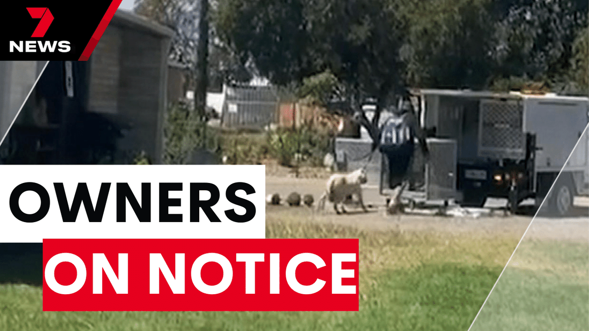 @AndreaLNicolas A sickening spate of dog attacks has sparked a state government crackdown with penalties set to become much tougher than first flagged. Irresponsible owners could soon face fines of up to $25,000. youtu.be/TtDFYGpU9Mc @AndreaLNicolas #saparli #7NEWS