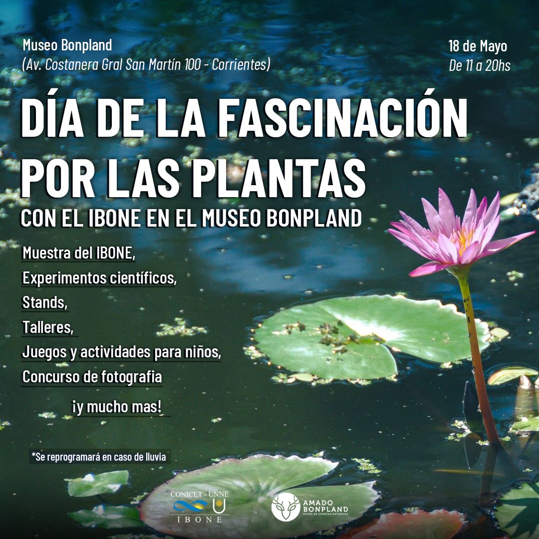 'Día de la fascinación por las plantas con el IBONE en el museo Amado Bonpland'🌸🌿

🗓️Sábado 18 de Mayo
🕗11 a 20 hs.
📍Museo Amado Bonpland, Av. Costanera Gral San Martín 100. Corrientes

#FascinationDay
#DiaFascinacionPlantas
#PlantDay
