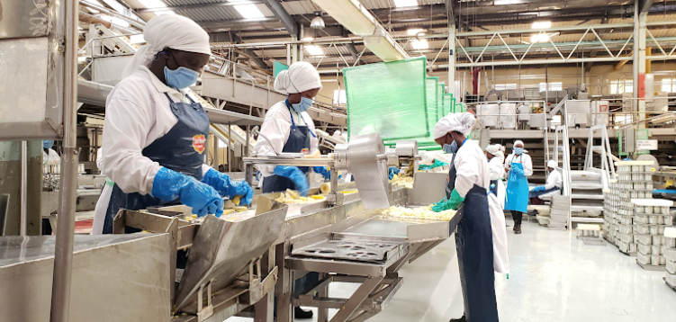 Del Monte Kenya Ltd has launched a groundbreaking biofertilizer plant that will turn the company’s pineapple residues into biofertilizers. This initiative signifies a significant leap forward in potentially transforming the agricultural landscape in Kenya