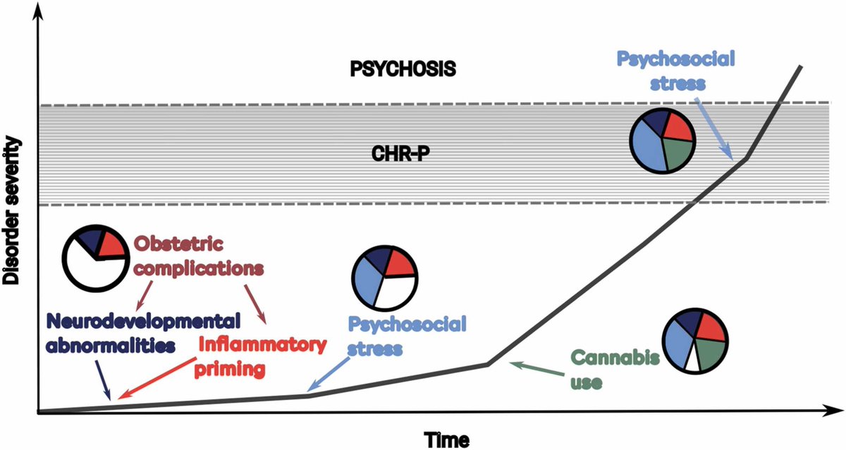 New review exploring the underlying mechanisms behind how established risk factors (like living in an urban environment or obstetric complications) can cause the onset of psychosis

doi.org/10.1016/j.neub…