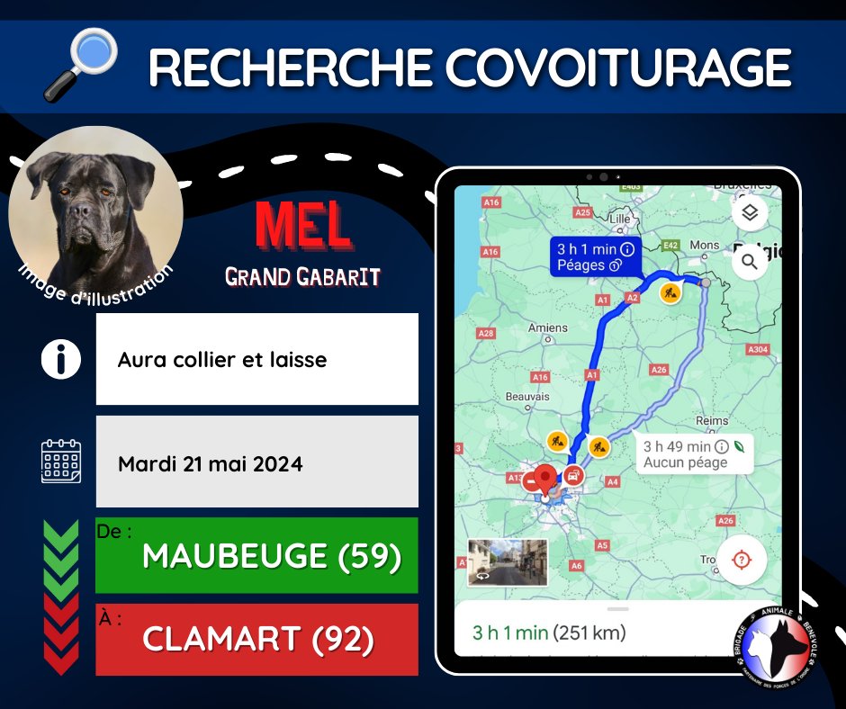 🚗RECHERCHE #COVOITURAGE 🚗

Mel a besoin de vous pour rejoindre sa famille d'accueil. Il aura avec lui son collier et sa laisse.

📅Mardi 21 mai 2024
📍Départ : #Maubeuge (59)
📍Arrivée : #Clamart (92)

Si vous êtes dispo, envoyez nous un message.