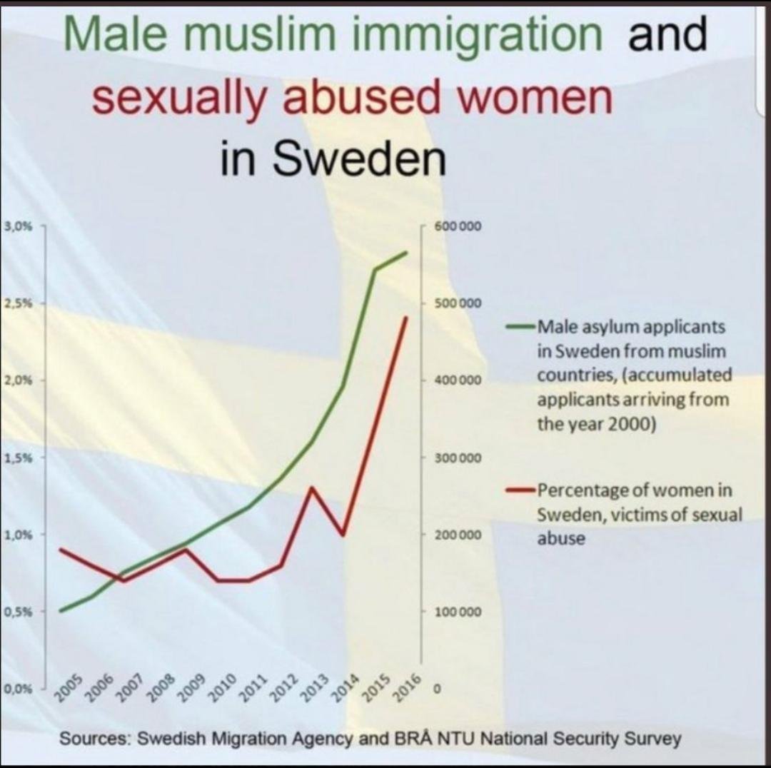 In this case correlation is causation. Everywhere these criminal migrants go they cause only harm. There is no rational argument for squatter colonialism unless you are a supporter of #whitegenocide and #antiwhiteism.