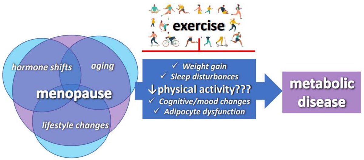 #HighlyCitedPaper
📒Adipocyte Metabolism and Health after the Menopause: The Role of Exercise
by Ms. Megan L. Marsh et al. @MediPharma_MDPI @omar_and24 @arcu65 @Liliana56219368 @kellych11 @Sr_Sombrero14
Welcome to read: mdpi.com/2072-6643/15/2…