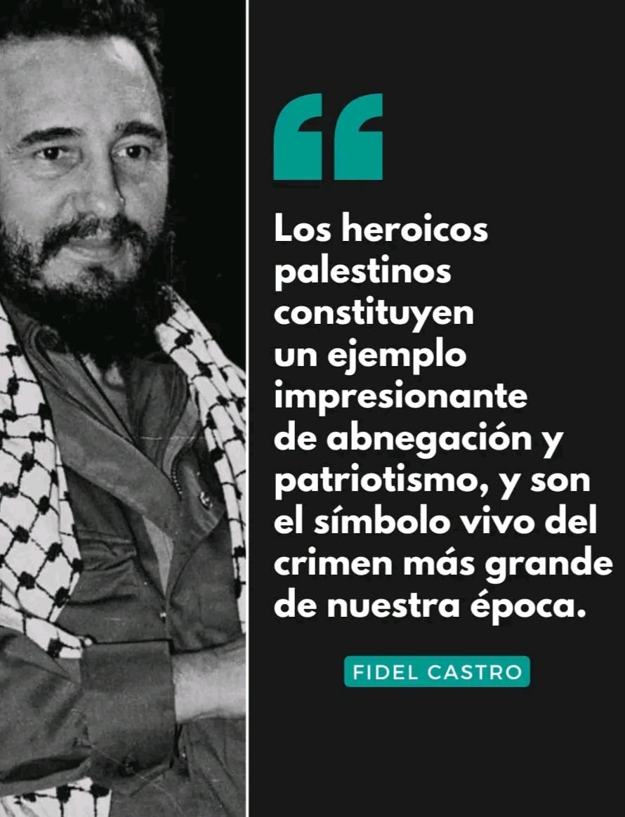 Palestina no está sola!