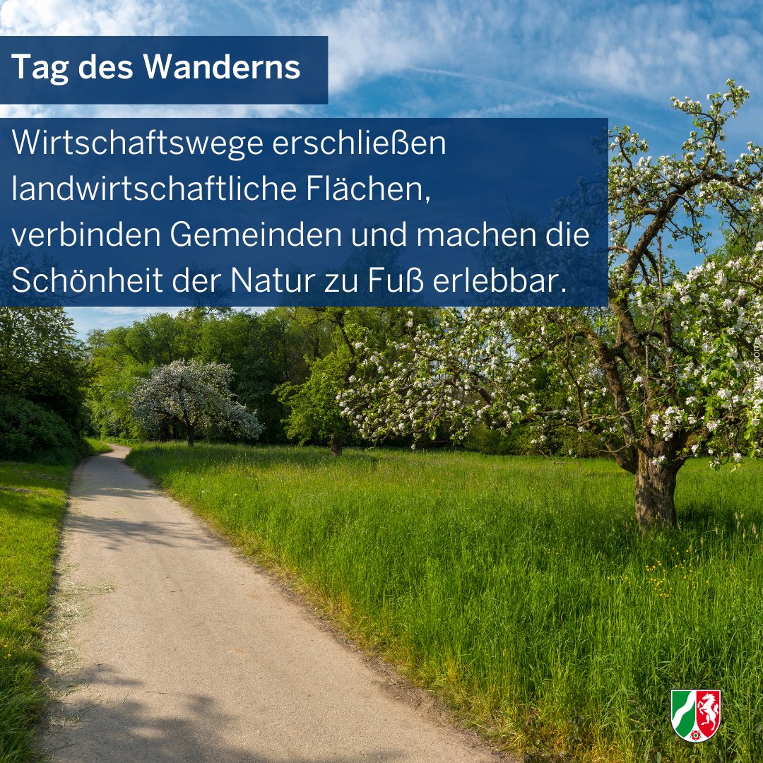 🥾🚶‍♀️Tag des Wanderns! In #NRW lässt es sich gut auf #Wirtschaftswegen wandern. Sie erschließen landwirtschaftliche Flächen, verbinden Gemeinden und machen die Schönheit der Natur zu Fuß erlebbar. In diesem Sinne: Viel Spaß beim Wandern!
