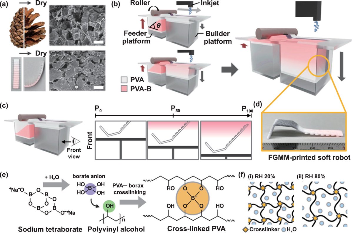 Direct 4D printing of functionally graded hydrogel networks for biodegradable, untethered, and multimorphic soft robots

#4Dprinting #hydrogel #biodegradable #Robot #Technology #News #manufacture #Science #ResearchPapers 

iopscience.iop.org/article/10.108…