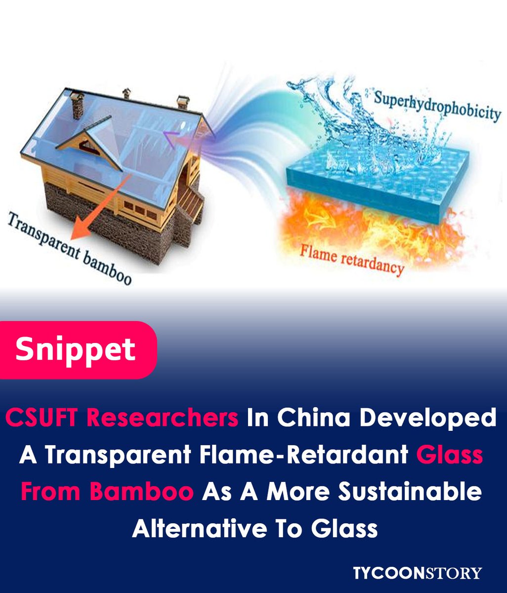 Transparent material from bamboo developed by Chinese researchers
#SustainableGlass #Bamboo #Innovation #FireResistant #Material #GreenTechnology #EcoFriendly #Building #RenewableEnergy #PerovskiteSolarCells #MaterialScience #InnovationForGood #trasparent
tycoonstory.com