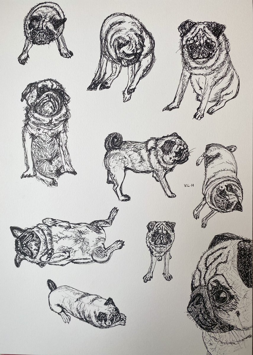 ‘Smorgasbord of Pug’ I see my latest ink as wallpaper in a downstairs loo. Any takers? #inksketch #art