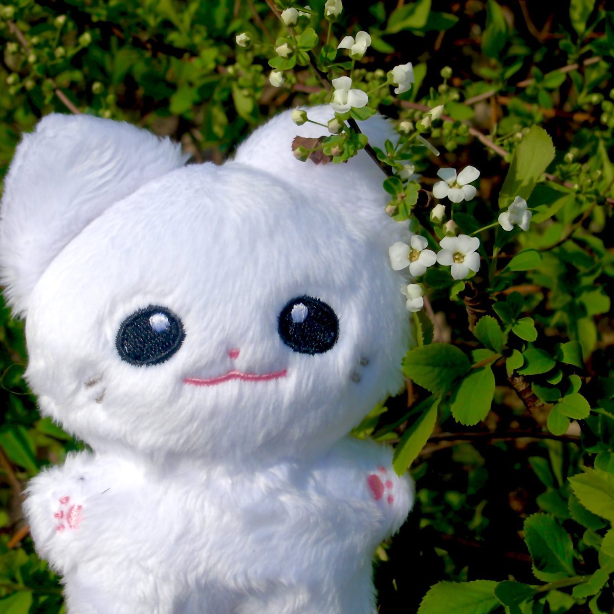 #RT 💚
514 🎉🎉🎉🎉🎉
리트윗해주신 분 한 분 추첨해 채채냥 한 마리 보내드립니다…ෆ MBB 한정!💚