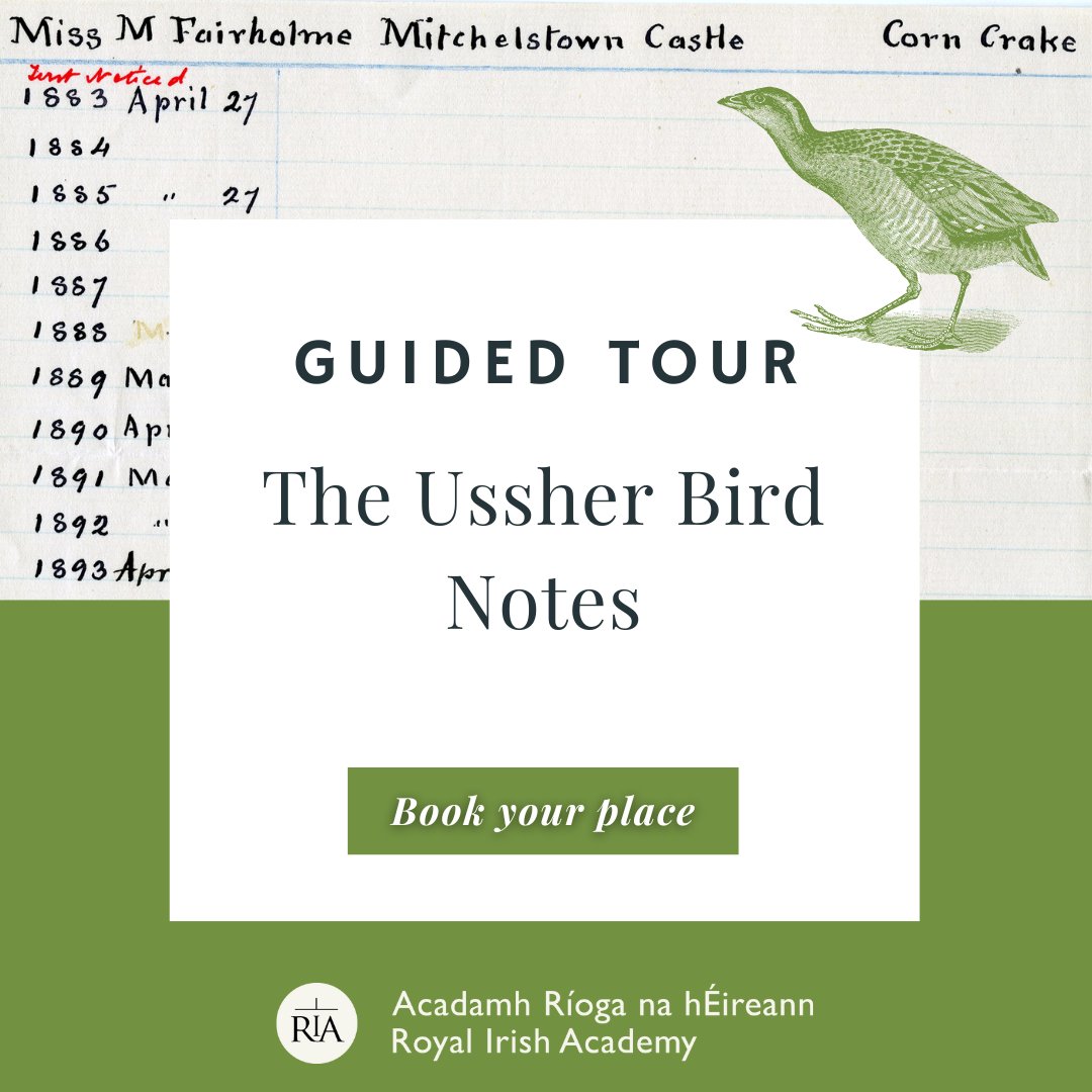 Don't miss our guided tours of the Ussher Bird Notes collection during National Biodiversity Week. Discover what a 120 year old collection of ornithological notes can teach us about bird populations in Ireland today! 📅 Wednesday, 22 May 🕐 12:30 and 15:00 ria.ie/guided-tour-us…