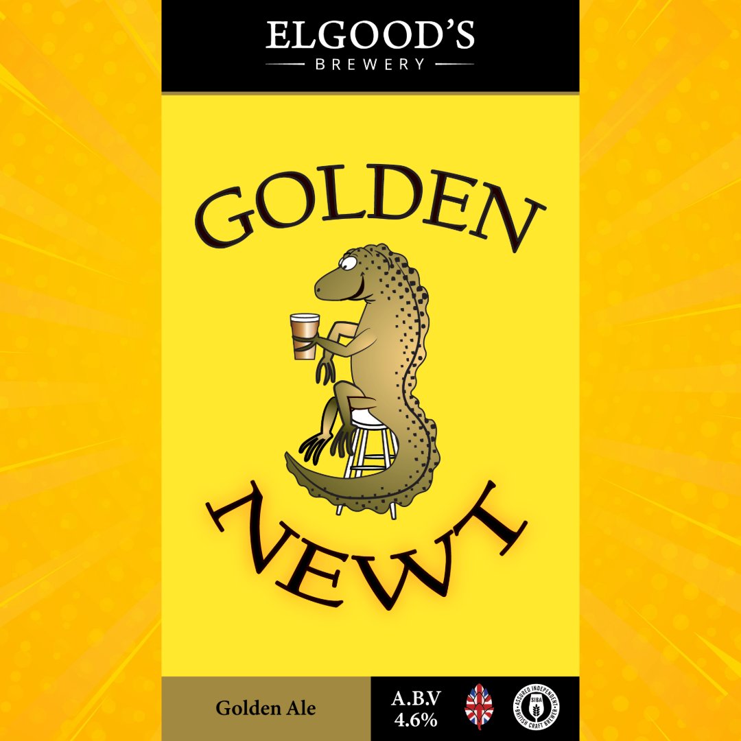 Our quarterly seasonal, Golden Newt, is now back in stock online! ✨ We have just brewed a fresh batch of this hoppy golden ale which is the epitome of summer refreshment. Don't miss out on your chance to enjoy this limited-edition brew. #GoldenNewt #elgoodsbrewery