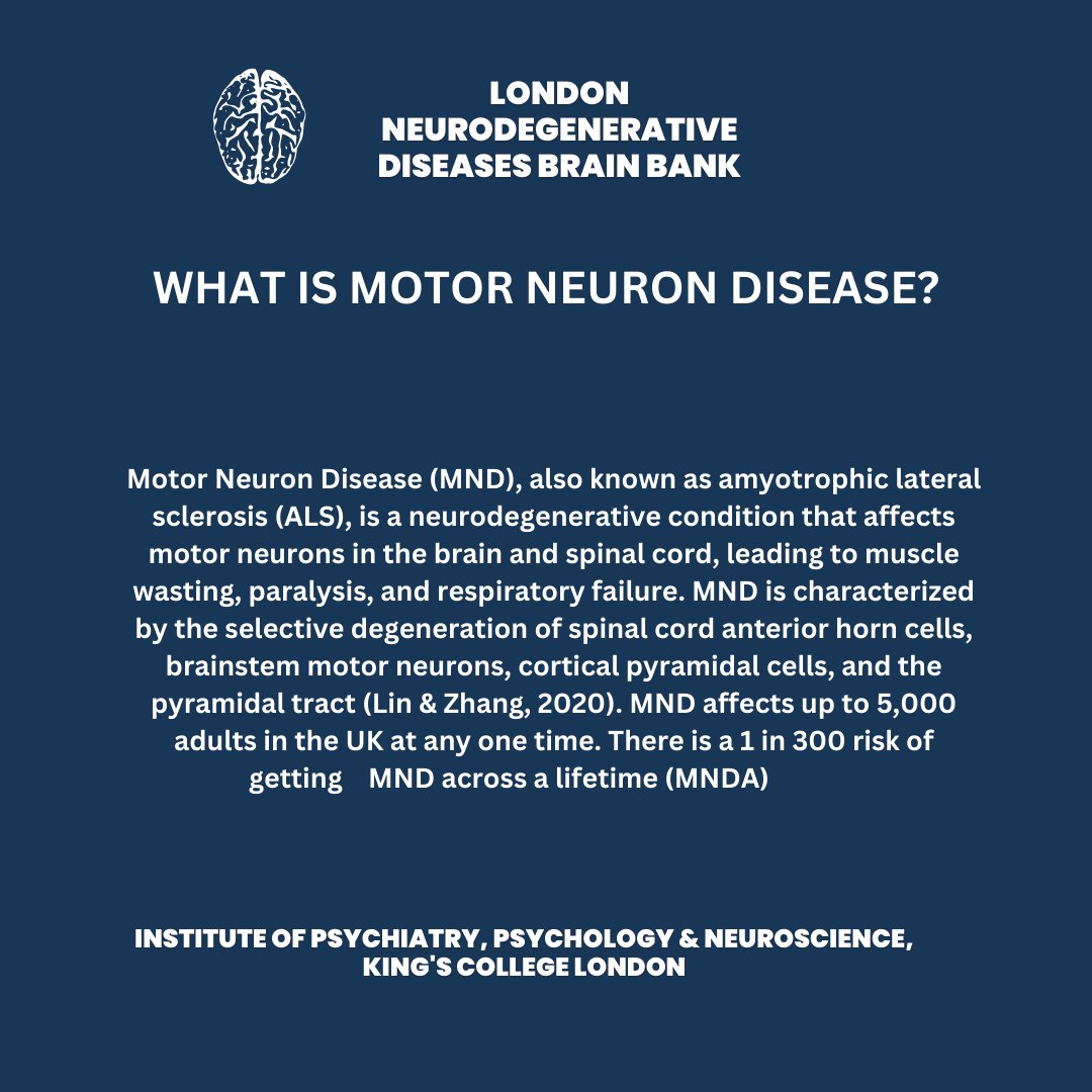 🧠Let's share some knowledge! 📷Did you know? #neuroscience #kclbrainbanbk #NeuroTwitter #research #neuroeducation