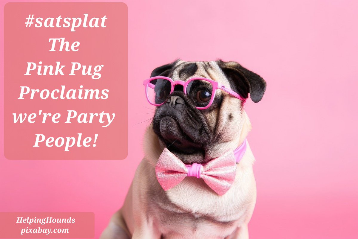 #satsplat (2 weeks of prompts Humorous + Animals)
The Pink Pug 
Proclaims we're 
Party People!
HelpingHounds pixabay.com