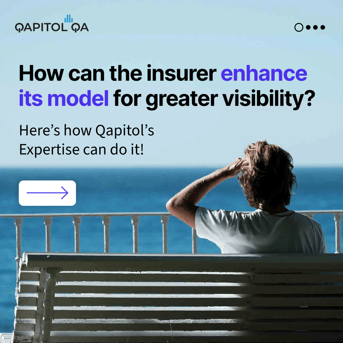 Qapitol QA tweet media