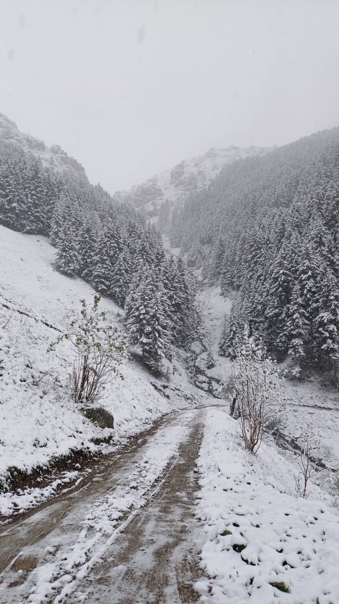 ❄️ ❄️ 

14.05.2024

Anzer / Rize / Türkiye