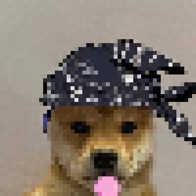 <a href="/citadelwolff/">CITADEL WOLF ⛰️🐺🥷</a> Take a chance on $DWP CTO is based and we're here to stay. Still early.