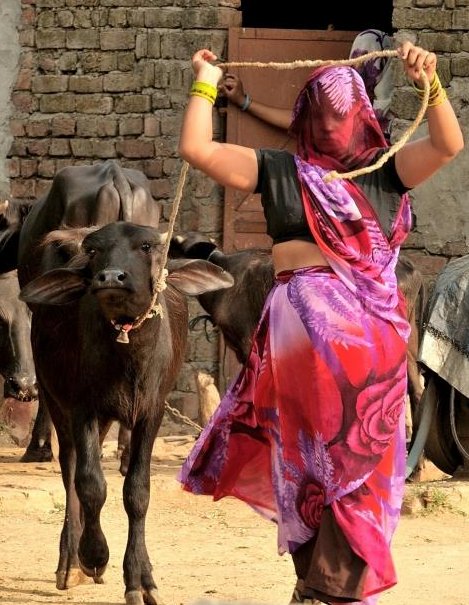 Her hands full of glass bangles, I could feel her powerful eyes behind her veil, absolutely in control of the animal. #BanglesDontMeanCowardice  #Bangles #WomanPower #Women