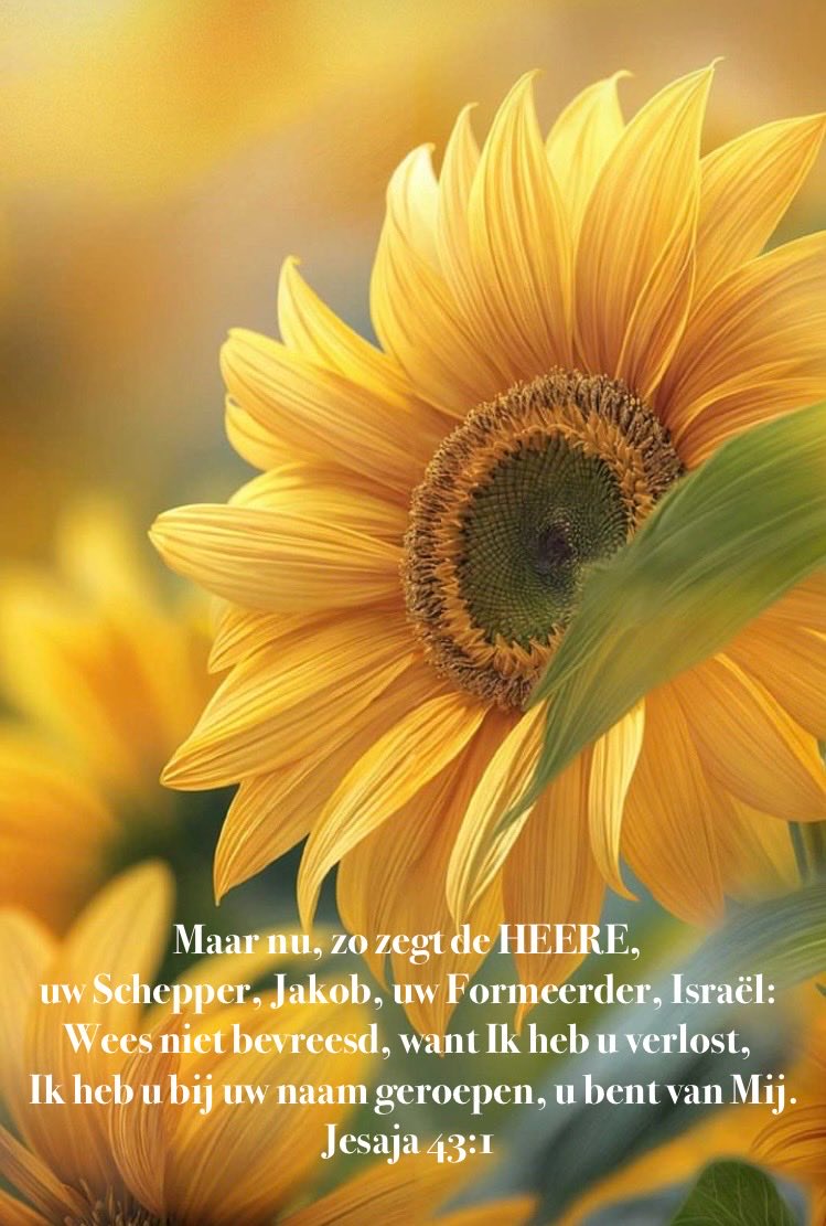 In Kees of Emergency 🚑 (@kees_zelf) on Twitter photo 