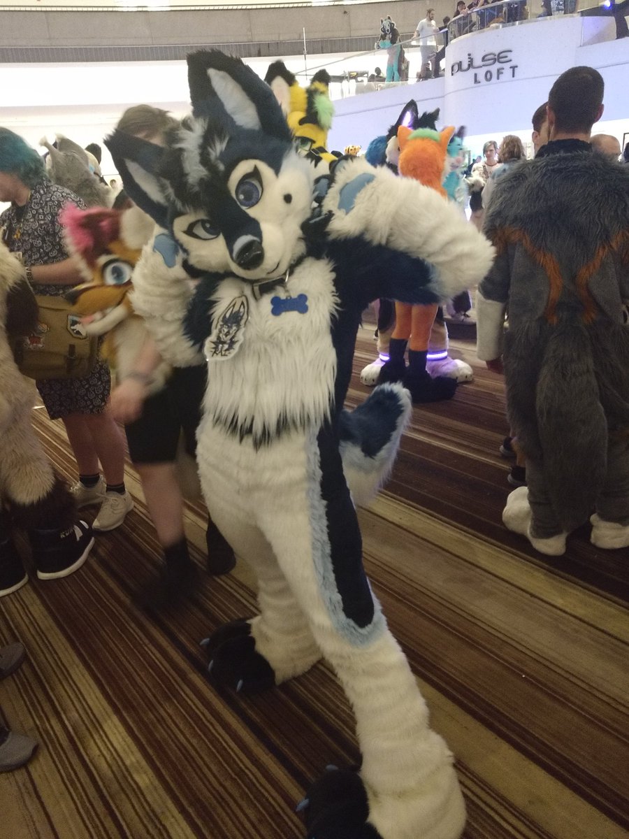 One of the best furs I ever met at #FWA2024 was this amazing, gorgeous, fun-loving, wild, lovable tamaskan dog, the one and only Kai!! Not only did she really help cheer me up when I was on the verge of tears from loneliness one moment but we also danced together during a rave!🔥