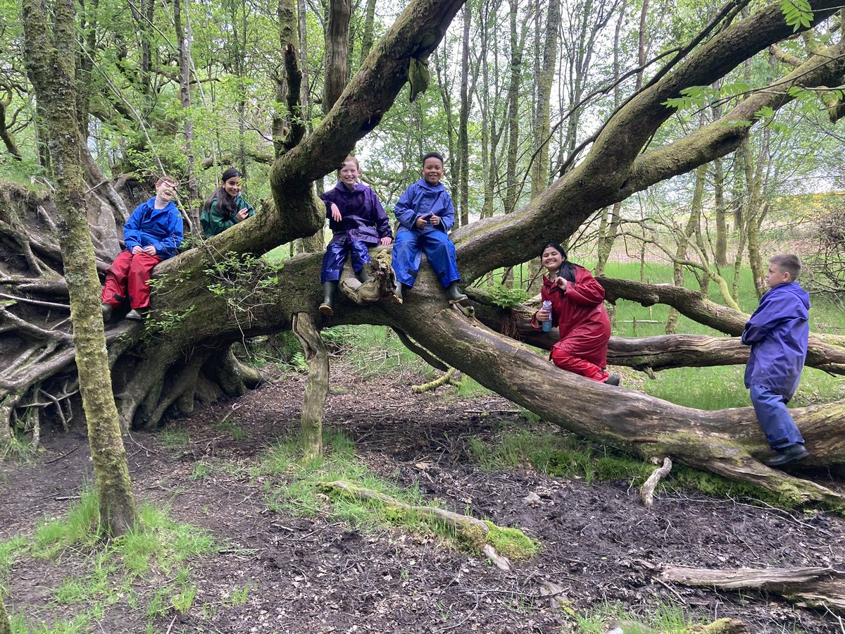 Great start to the week with happy smiles all round as the group waded through muddy ditches, climbed trees and crawled through tunnels 😃.

<a href="/OakgrovePri/">Oakgrove Primary</a>
<a href="/BlairvadachOEC/">Blairvadach Outdoor Education Centre - Glasgow</a>
#OakgroveBV24