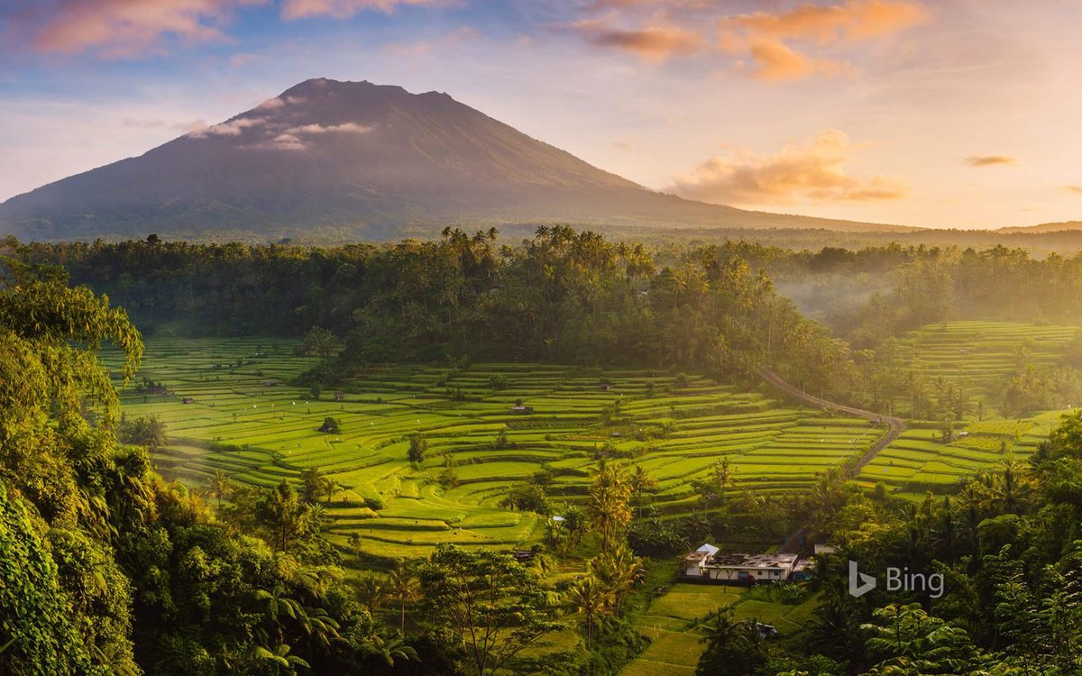 Rice fields in the Sidemen Valley, with Mount Agung in the background, Bali, Indonesia