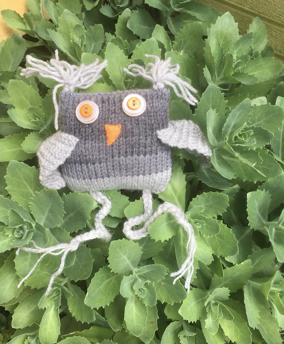 3WoollyOwls's tweet photo. Hello Tuesday! #earlybiz #owl #graduationowl #giftidea  https://t.co/rlC6tyYwcz https://t.co/qhaYcBWVCr